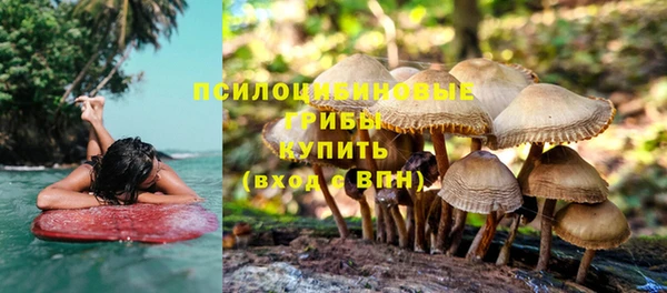 синтетический гашиш Бородино