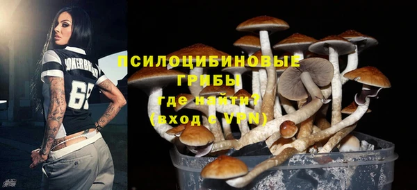 стафф Баксан