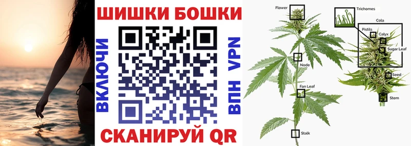 купить   Северск  Бошки Шишки тримм 