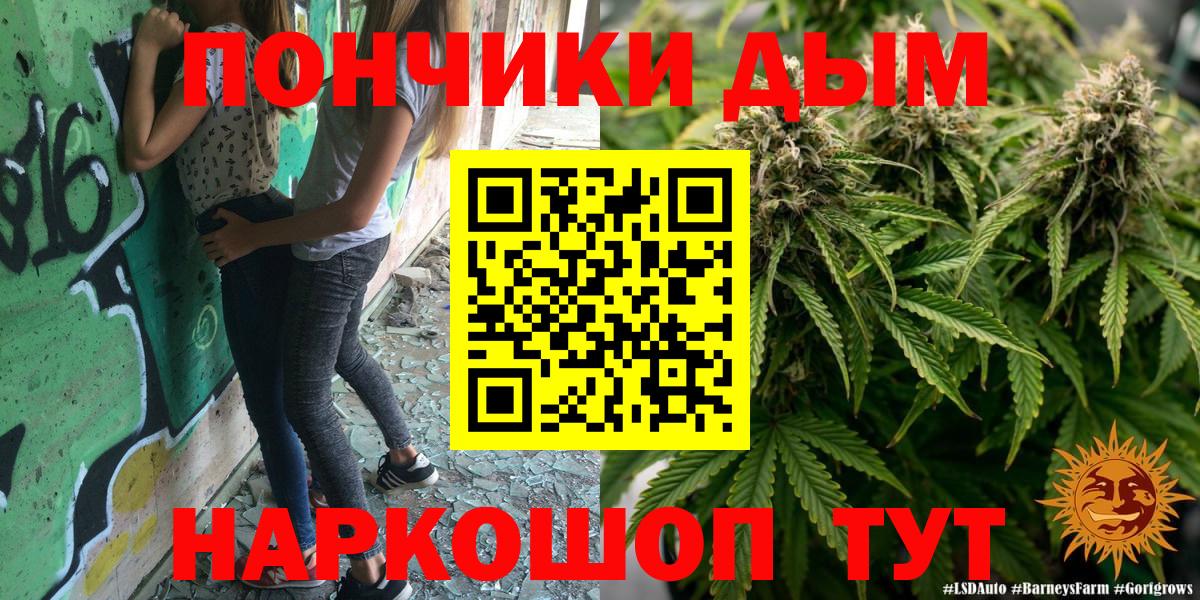 Бошки Шишки THC 21% Северск