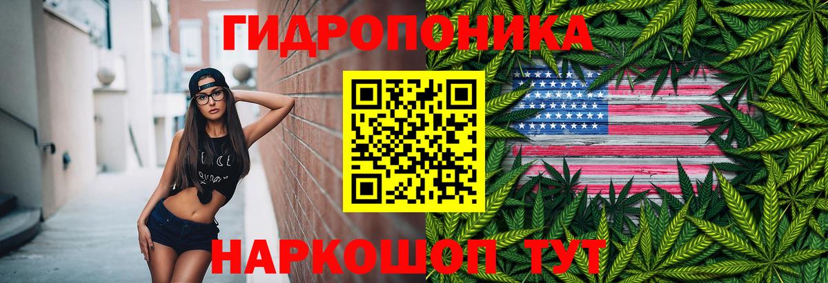 Северск  Шишки марихуана план  Вход с VPN  Бошки Шишки Ganja 